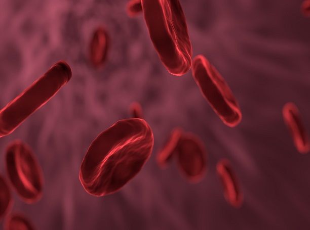Thalassemia, India Pharma Outlook
